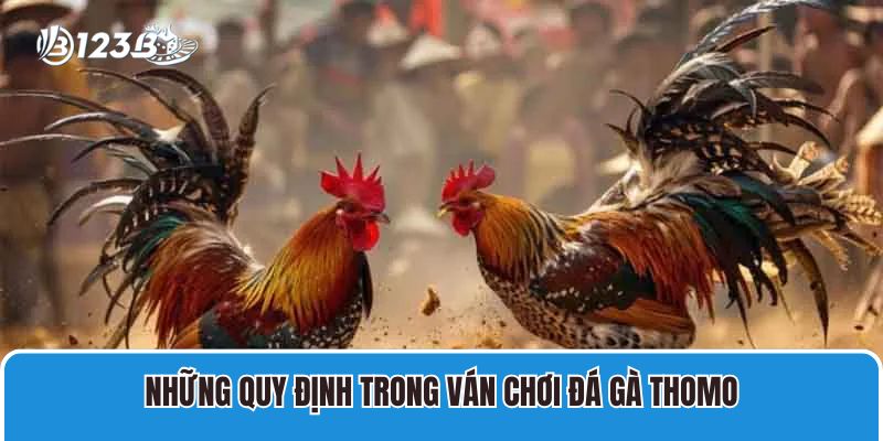 Những quy định trong ván chơi đá gà Thomo