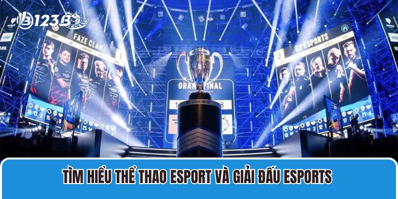 Tìm hiểu thể thao Esport và giải đấu Esports